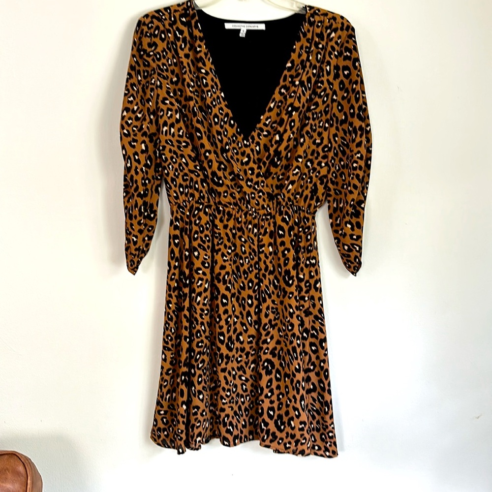 Cheetah Print Dress with Sleeves | Size S